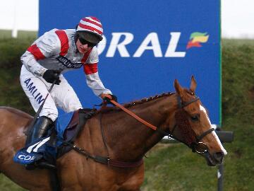 Tom oBRIEN - Dream Alliance