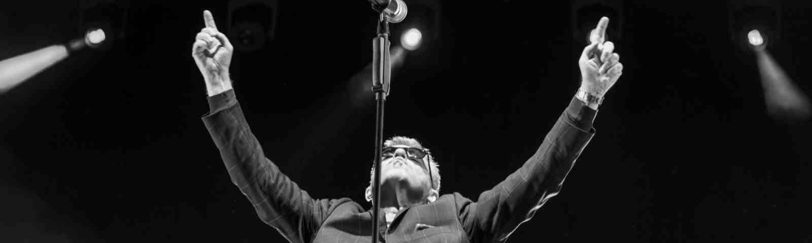 Ska band Madness performing