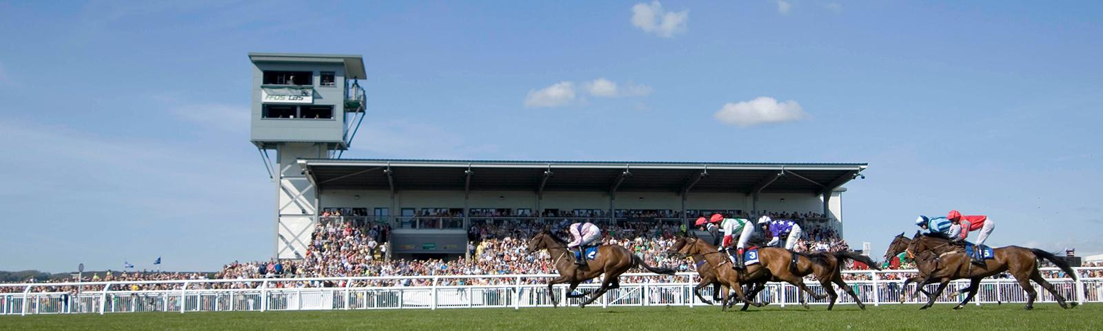 Jockeys racing pas the grandstand at Ffos Las Racecourse.